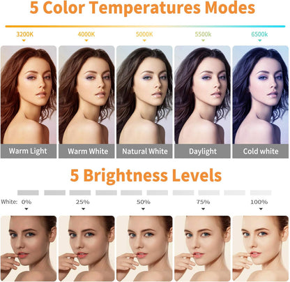 Video Conference Lighting Kit, Ring Light Clip on Laptop Monitor with 5 Dimmable Color & 5 Brightness Level for Webcam Lighting/Zoom Lighting/Remote Working/Self Broadcasting and Live Streaming, Etc.