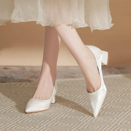 Thick Heel Pointed Professional OL Commuting Interview Work Shoes Temperament Versatile 2025 New Models