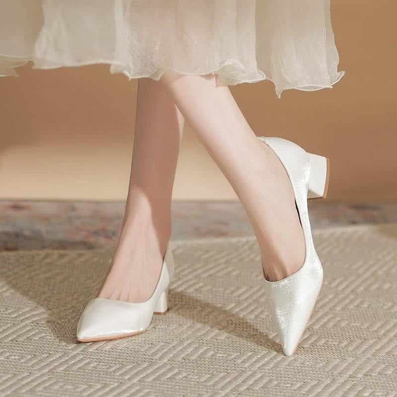Thick Heel Pointed Professional OL Commuting Interview Work Shoes Temperament Versatile 2025 New Models